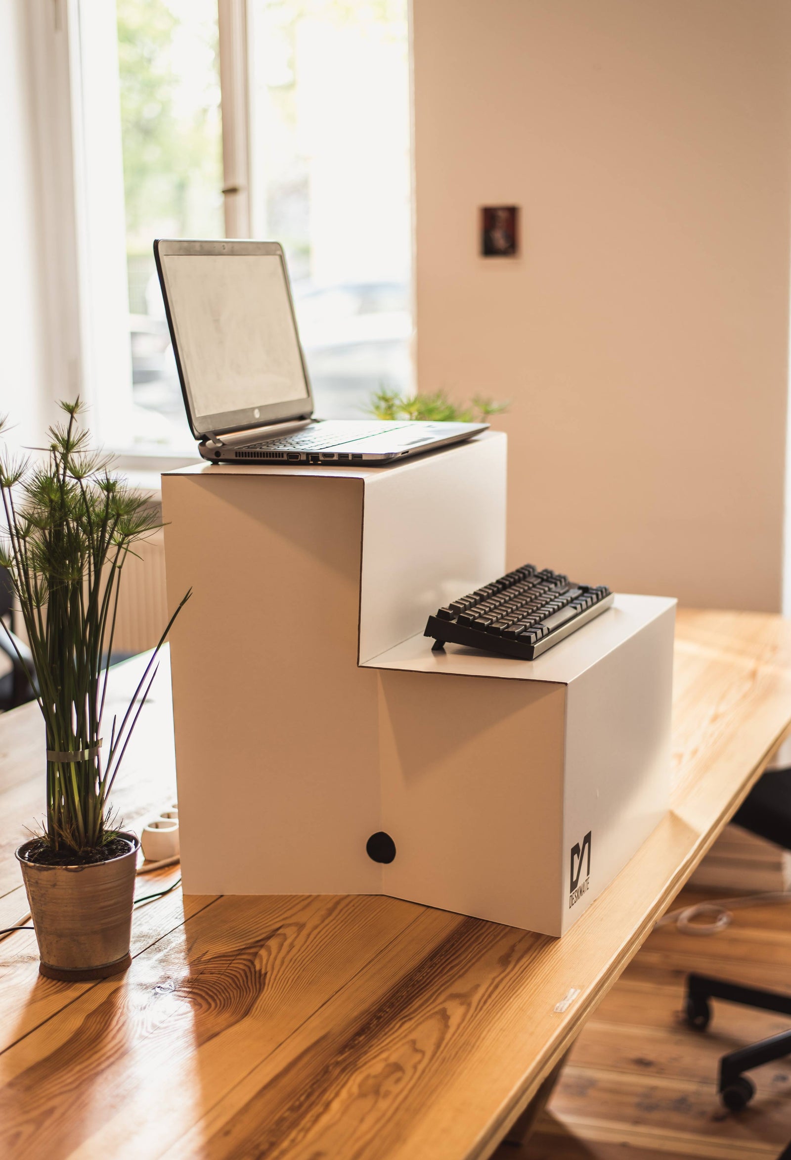 To Sit or Not to Sit: Can We Finally Stop Using Standing Desks?