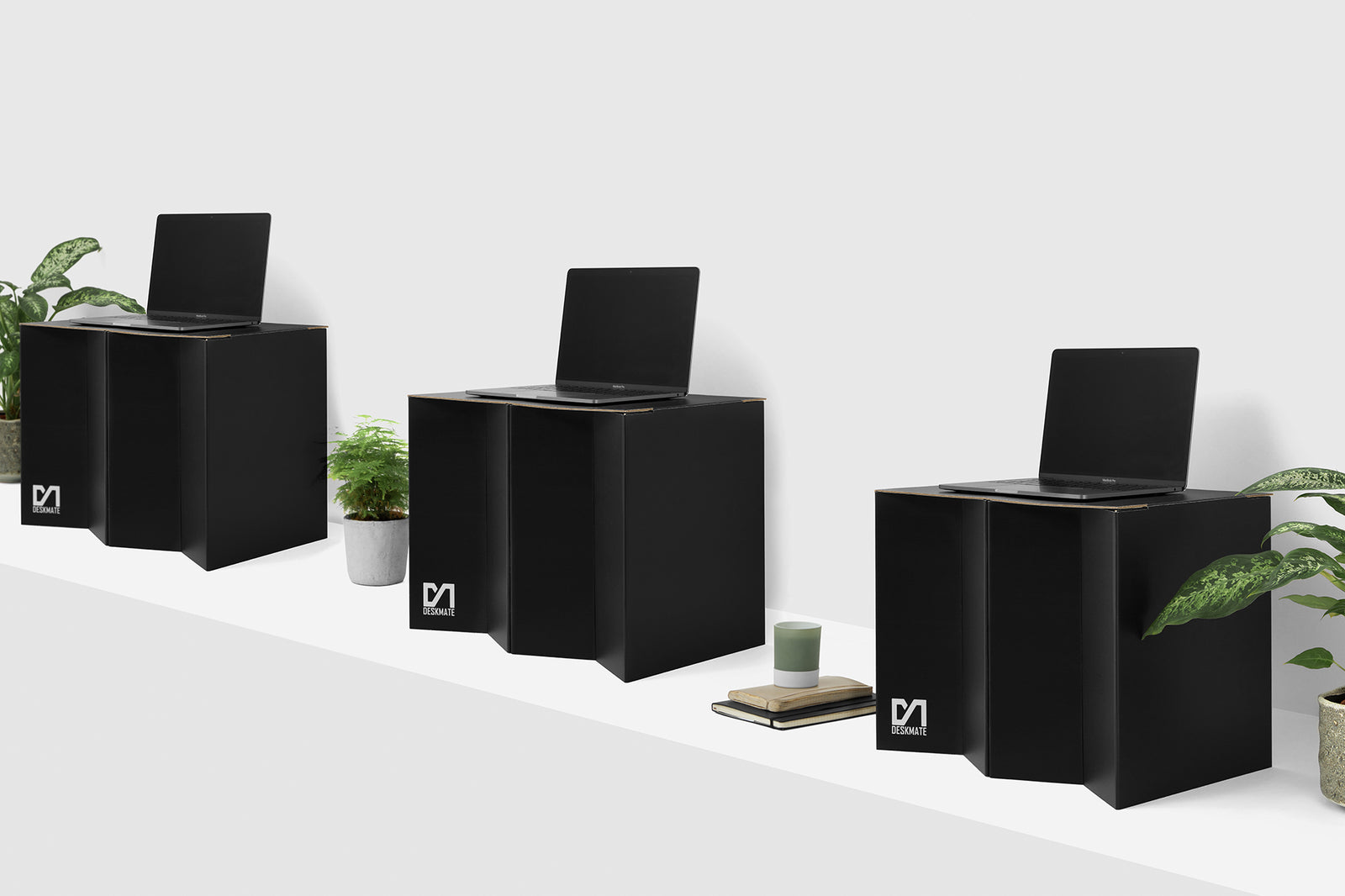 Ashley's Guide To Working From Home.