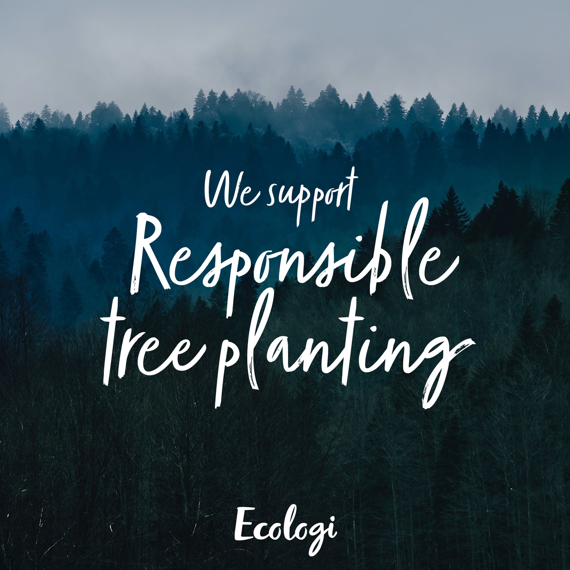 Deskmate x Ecologi ?